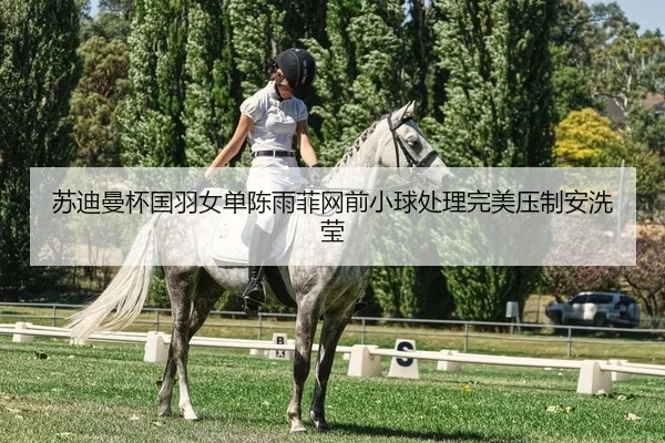 su-di-man-bei-guo-yu-nv-dan-chen-yu-fei-wang-qian-xiao-qiu-chu-li-wan-mei-ya-zhi-an-xi-ying-2-525.jpg